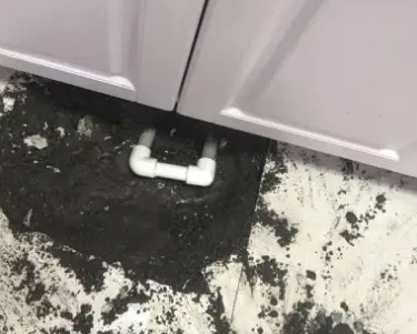 东营查漏水哪家好
